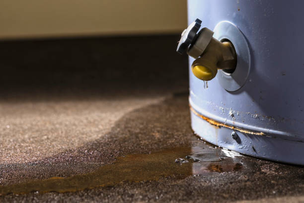 Best Carpet water damage restoration  in Oakland City, IN