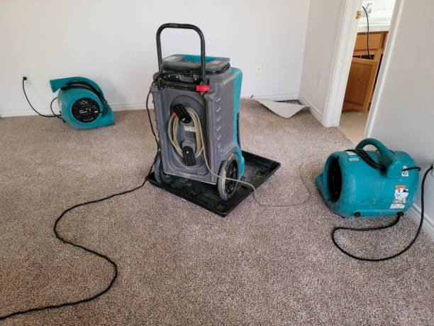 Best 24-hour water damage restoration  in Oakland City, IN