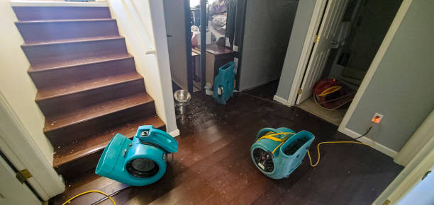 Best Water damage restoration near me  in Oakland City, IN