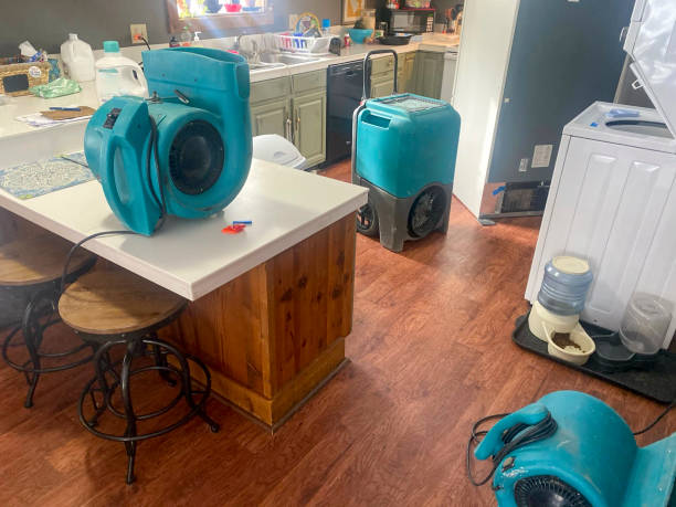 Best Residential water damage restoration  in Oakland City, IN