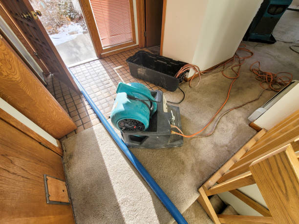 Best Commercial water damage restoration  in Oakland City, IN