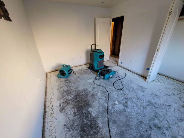 Best Residential water damage restoration  in Oakland City, IN