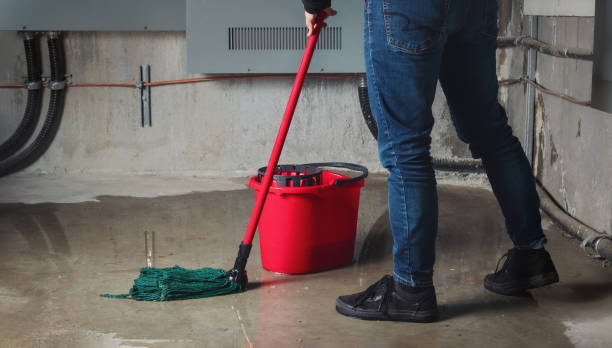 Best Emergency water damage restoration  in Oakland City, IN