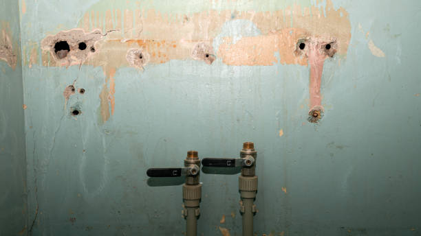 Best Flood restoration services  in Oakland City, IN
