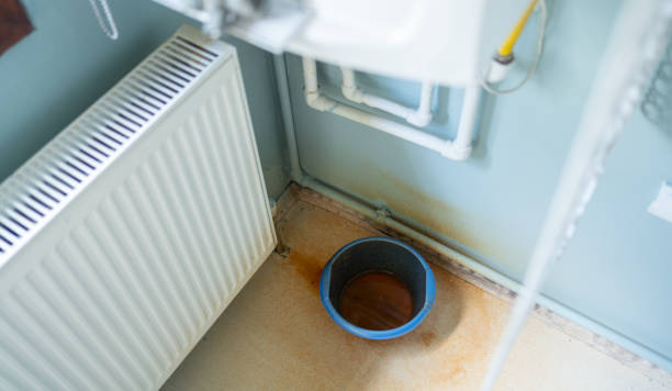Best Water damage contractors near me  in Oakland City, IN