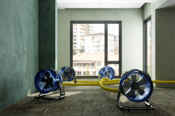 Best Water damage restoration near me  in Oakland City, IN